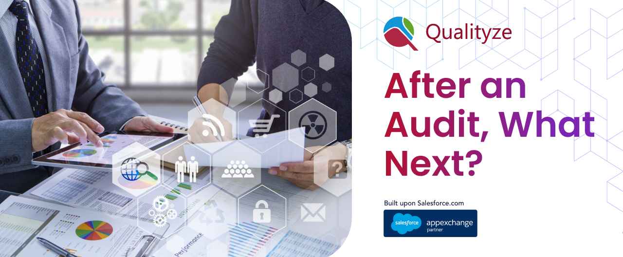after-an-audit-what-next