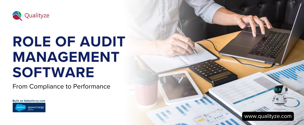 audit-management-software-role