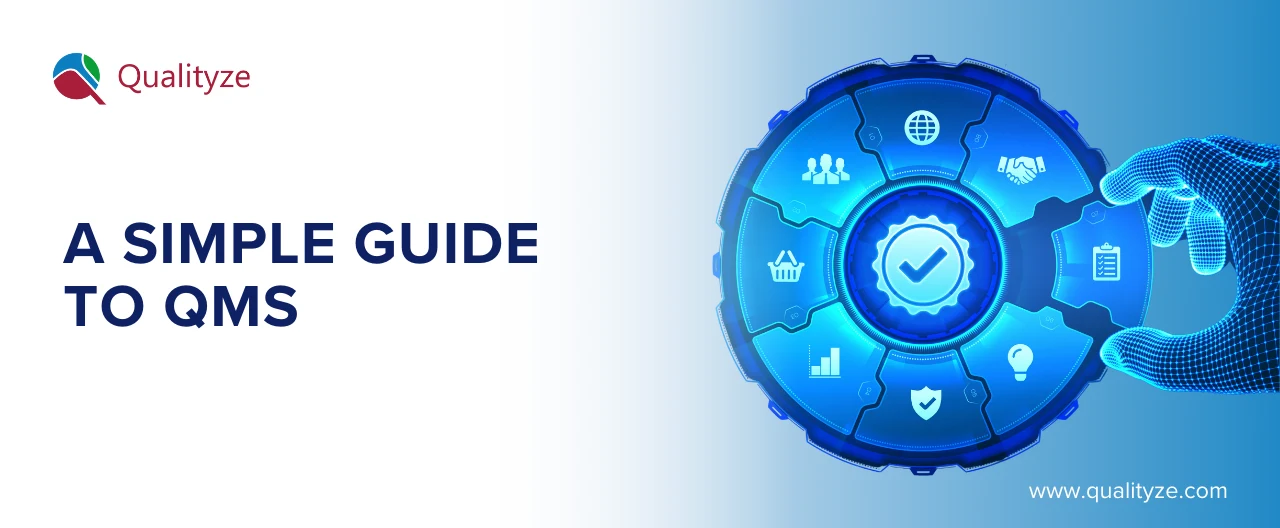 What is Quality Management System (QMS)?